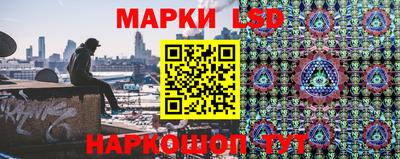 СК Ростов-на-Дону