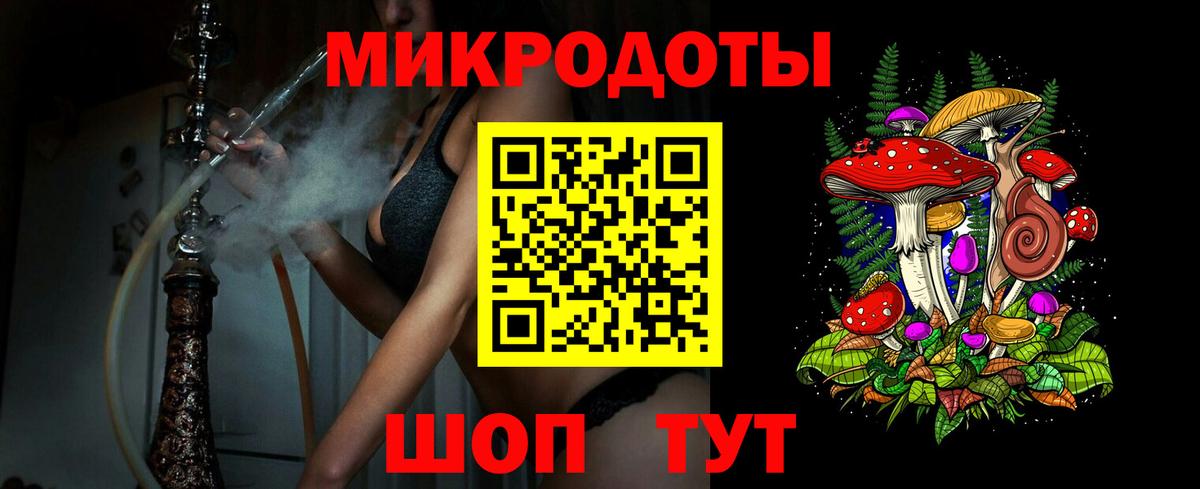 Галлюциногенные грибы Psilocybine cubensis Звенигород